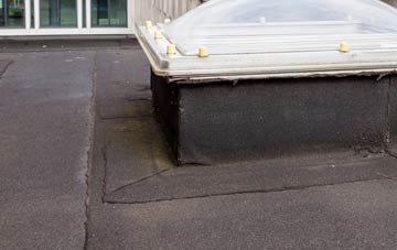 disadvantages of Pant Iasau flat roofs